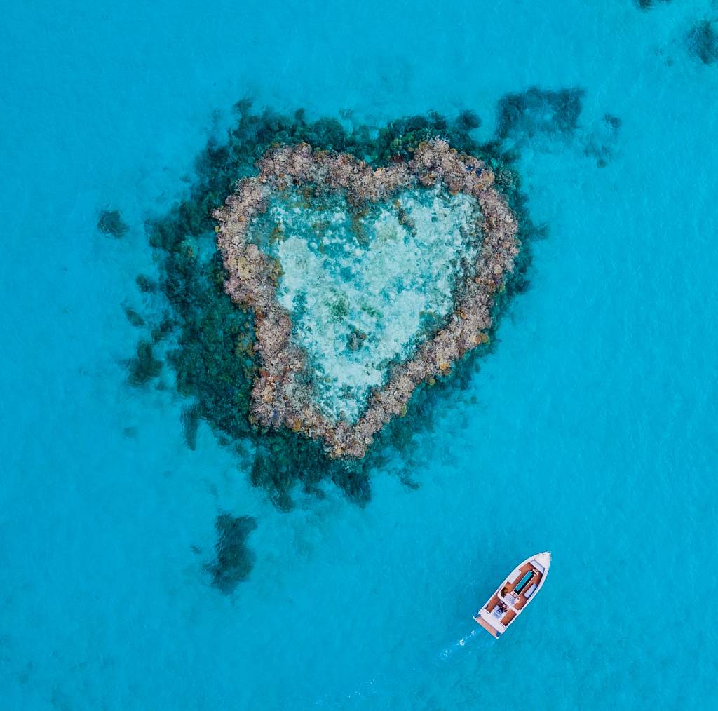 Heart Island Glass Bottom Boat 1