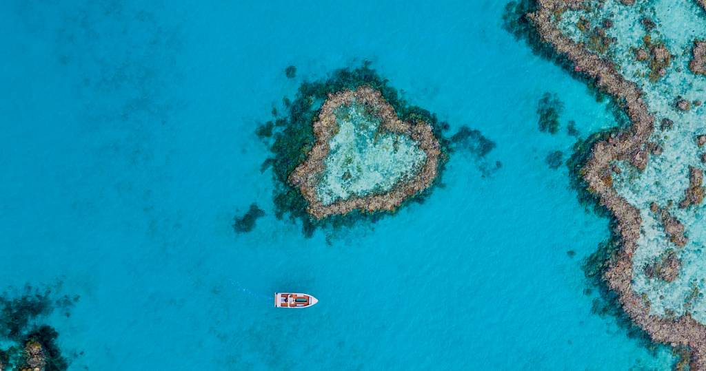 Heart Island Glass Bottom Boat 3